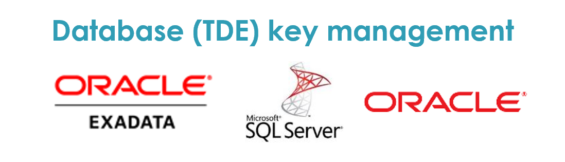 database(TDE) key management